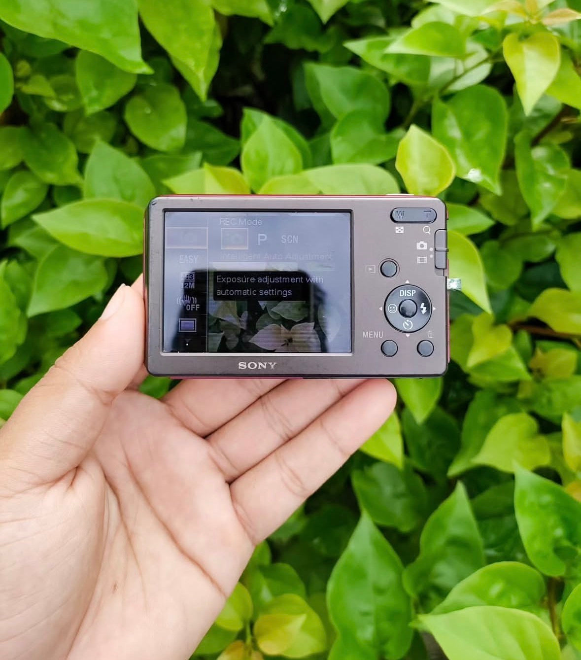 Sony Cyber-shot DSC-W310