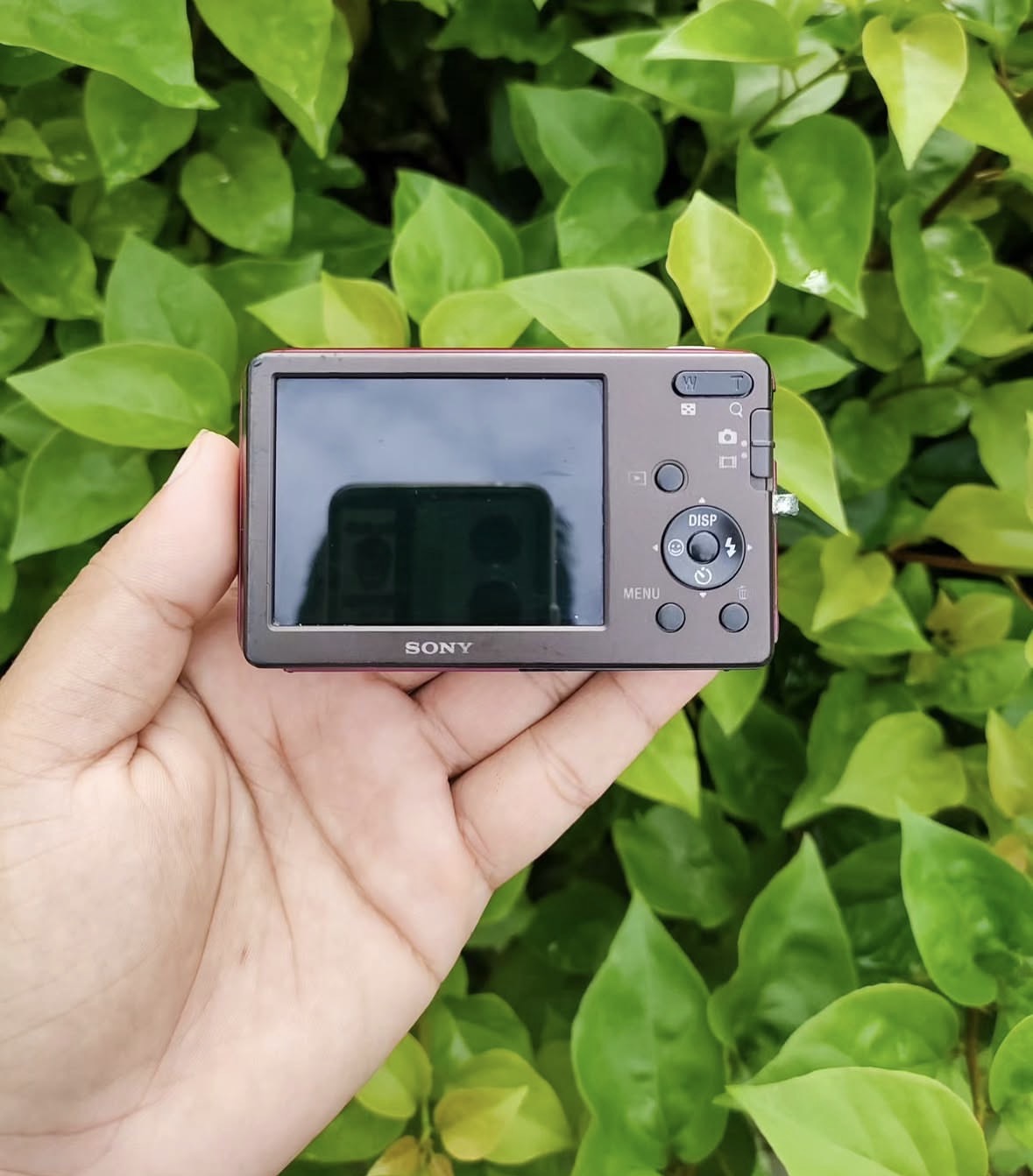 Sony Cyber-shot DSC-W310